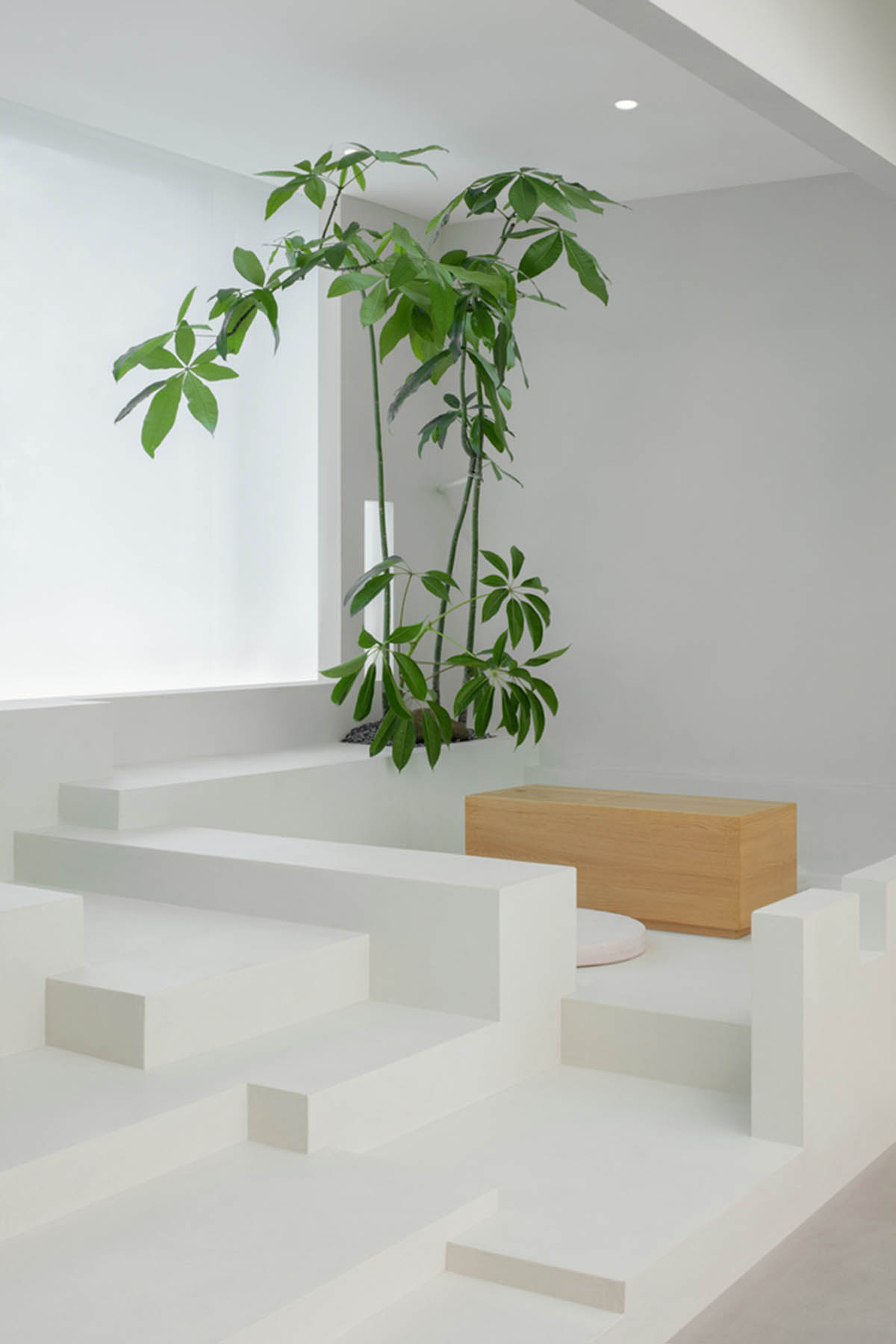 Jiejie studio wraps this tea room with a peach garden with rocky and forest landscape in Beijing