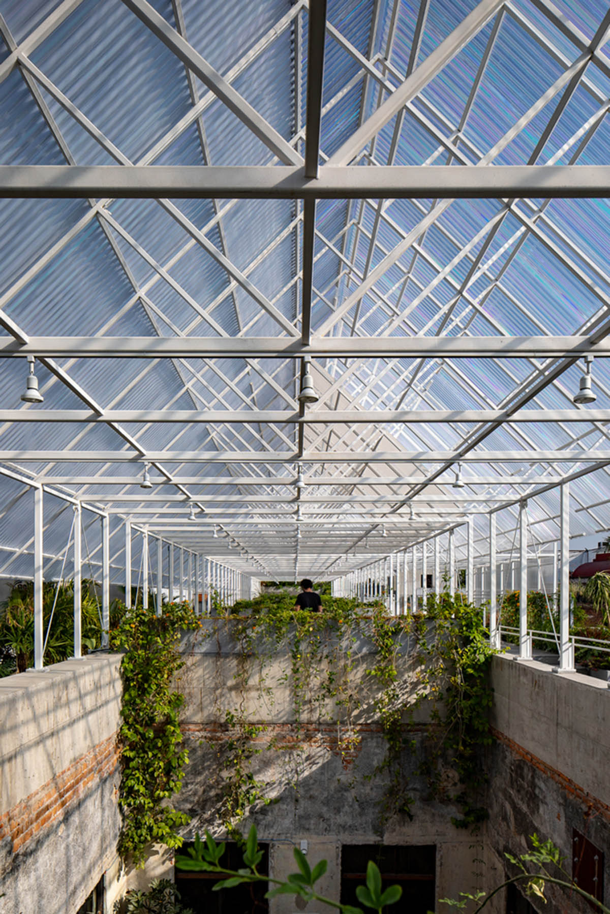 PRODUCTORA covers rooftop of historical palace with lightweight, continuous canopy in Mexico