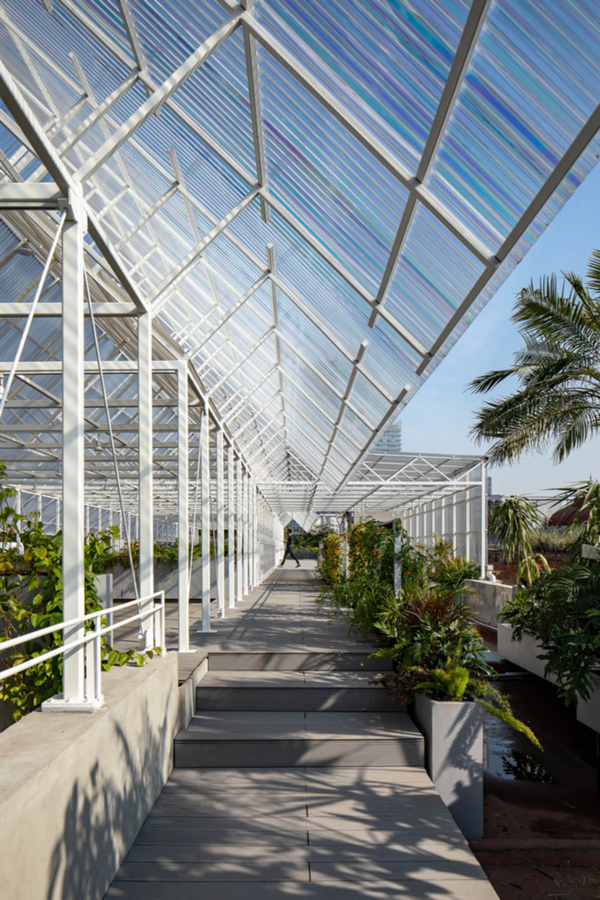 PRODUCTORA covers rooftop of historical palace with lightweight, continuous canopy in Mexico