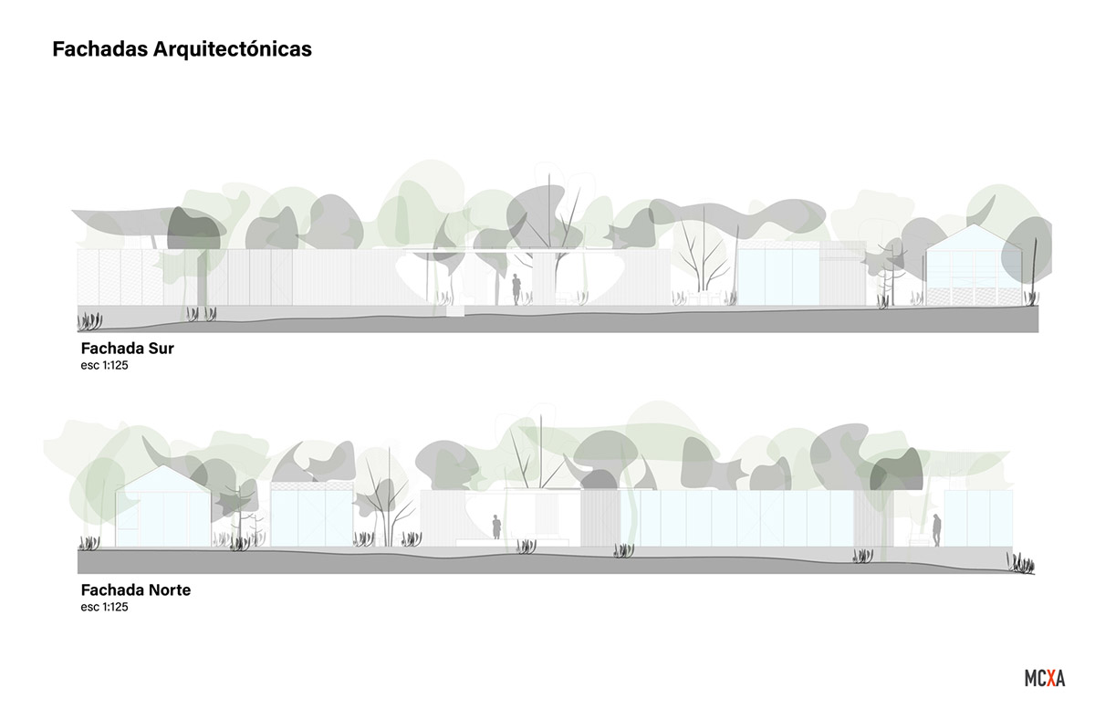 Mauricio Ceballos X Architects enriches Mague House with carved-out spaces within abundant vegetation