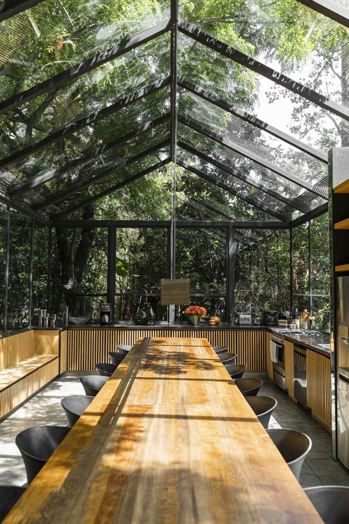 Mauricio Ceballos X Architects enriches Mague House with carved-out spaces within abundant vegetation