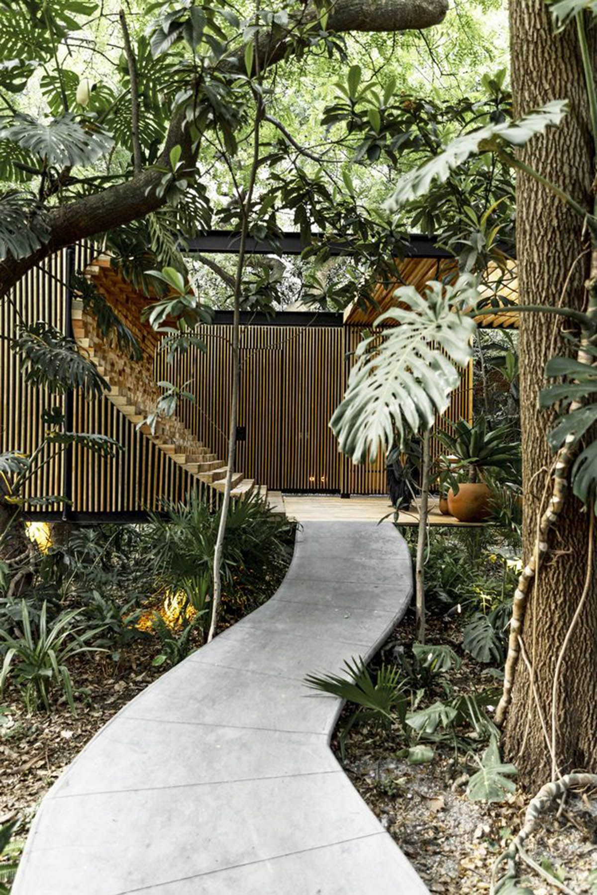 Mauricio Ceballos X Architects enriches Mague House with carved-out spaces within abundant vegetation