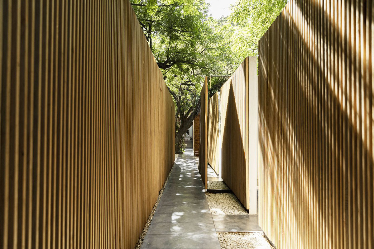Mauricio Ceballos X Architects enriches Mague House with carved-out spaces within abundant vegetation