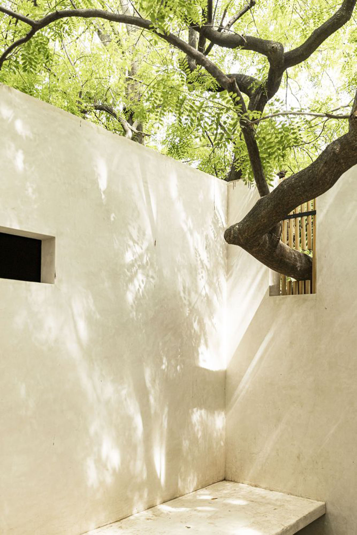 Mauricio Ceballos X Architects enriches Mague House with carved-out spaces within abundant vegetation