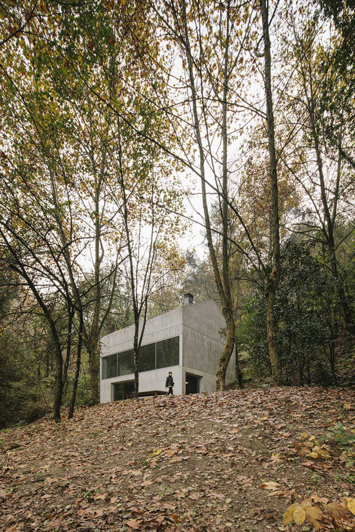 Carvalho Ara&uacute;jo designed singular concrete volume overlooking a lush forest in Portugal