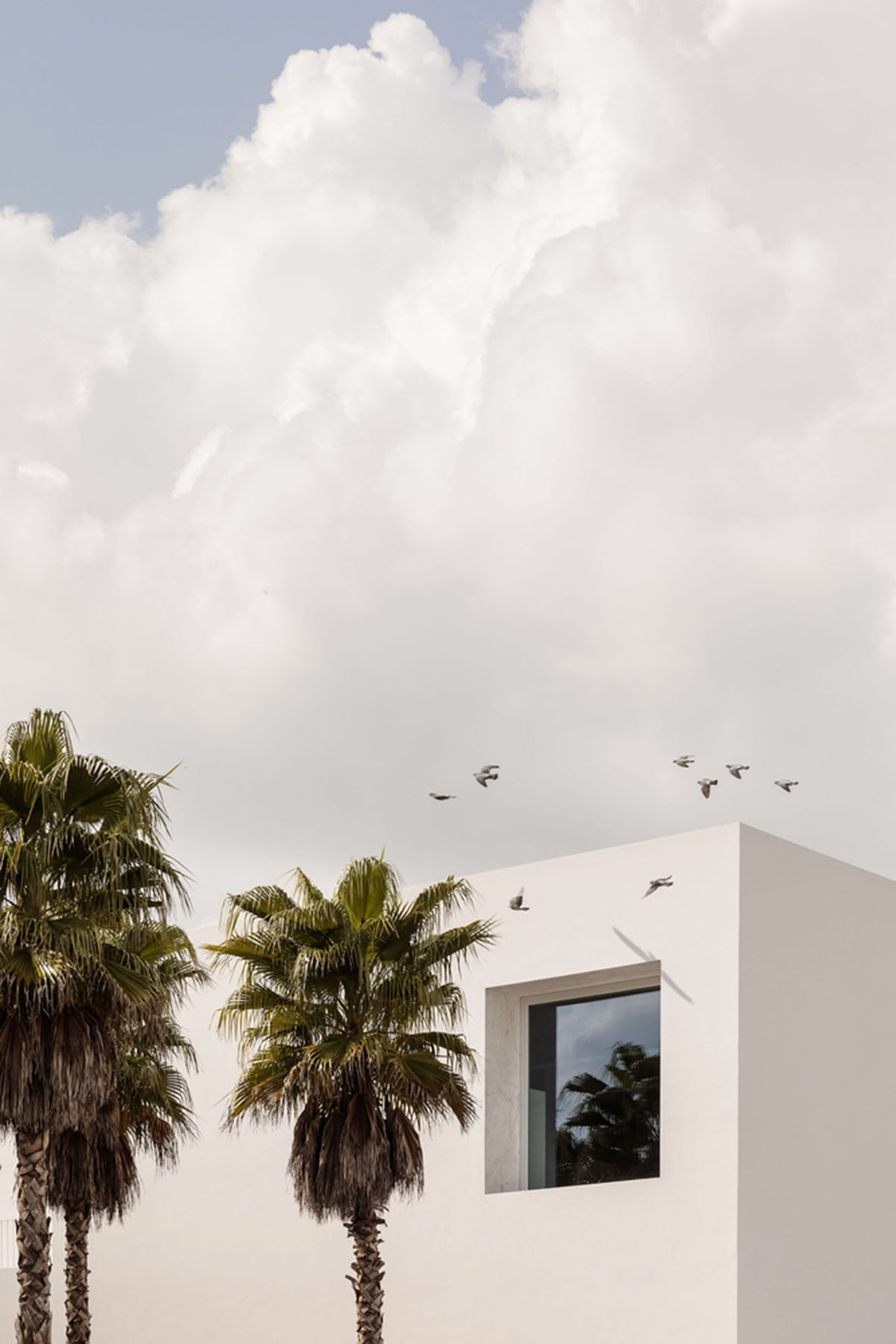 This library and municipal archive create