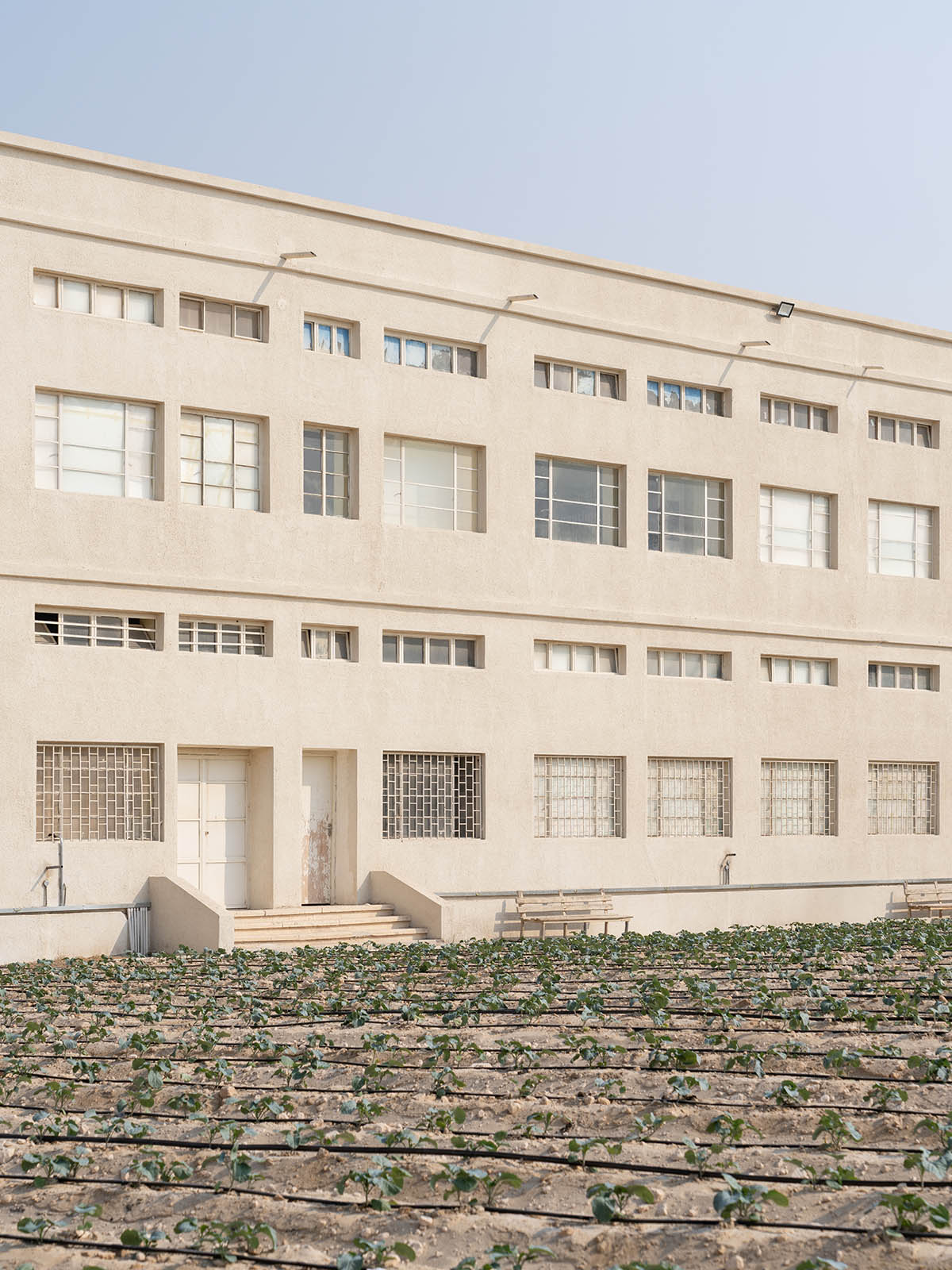 AMO/OMA opens exhibition, Countryside: A Place to Live, Not to Leave, in Doha