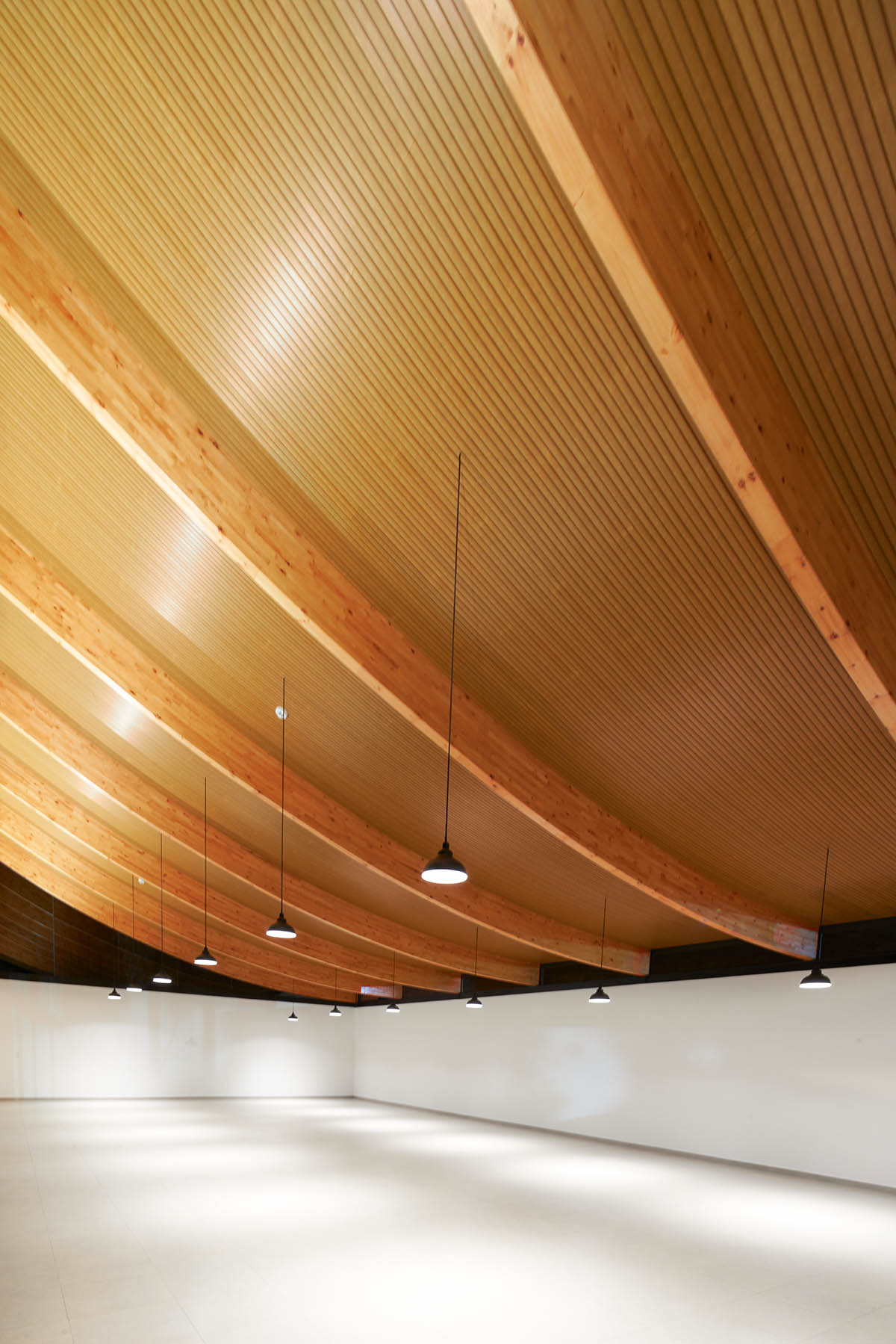 TEC Taller EC creates pavilion with concave wooden roof that becomes a façade in Ecuador