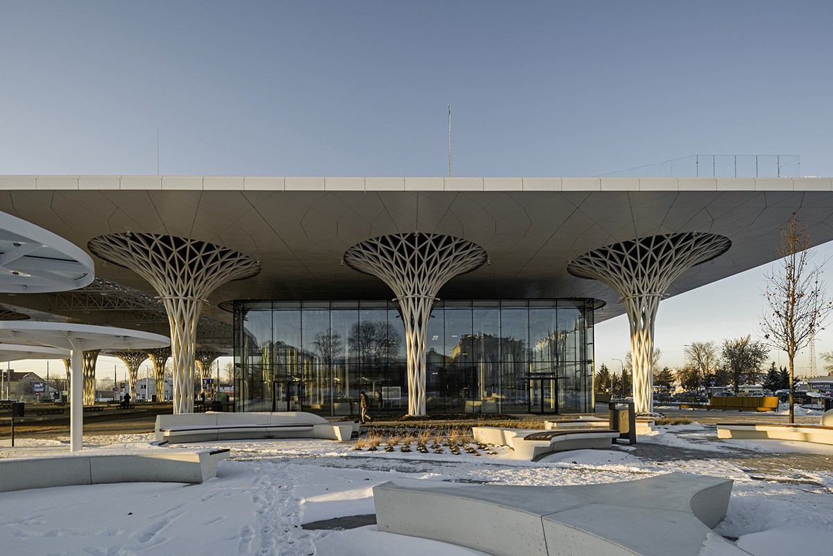 Organic tree-like columns are combined with linear canopy for Metropolitan Station in Lublin 
