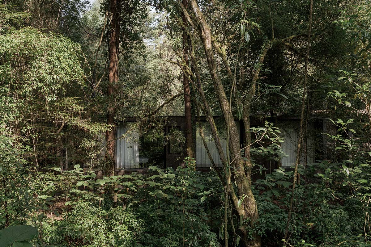 PPAA completes Copas House with sleek skin and pastel tones in Valle de Bravo