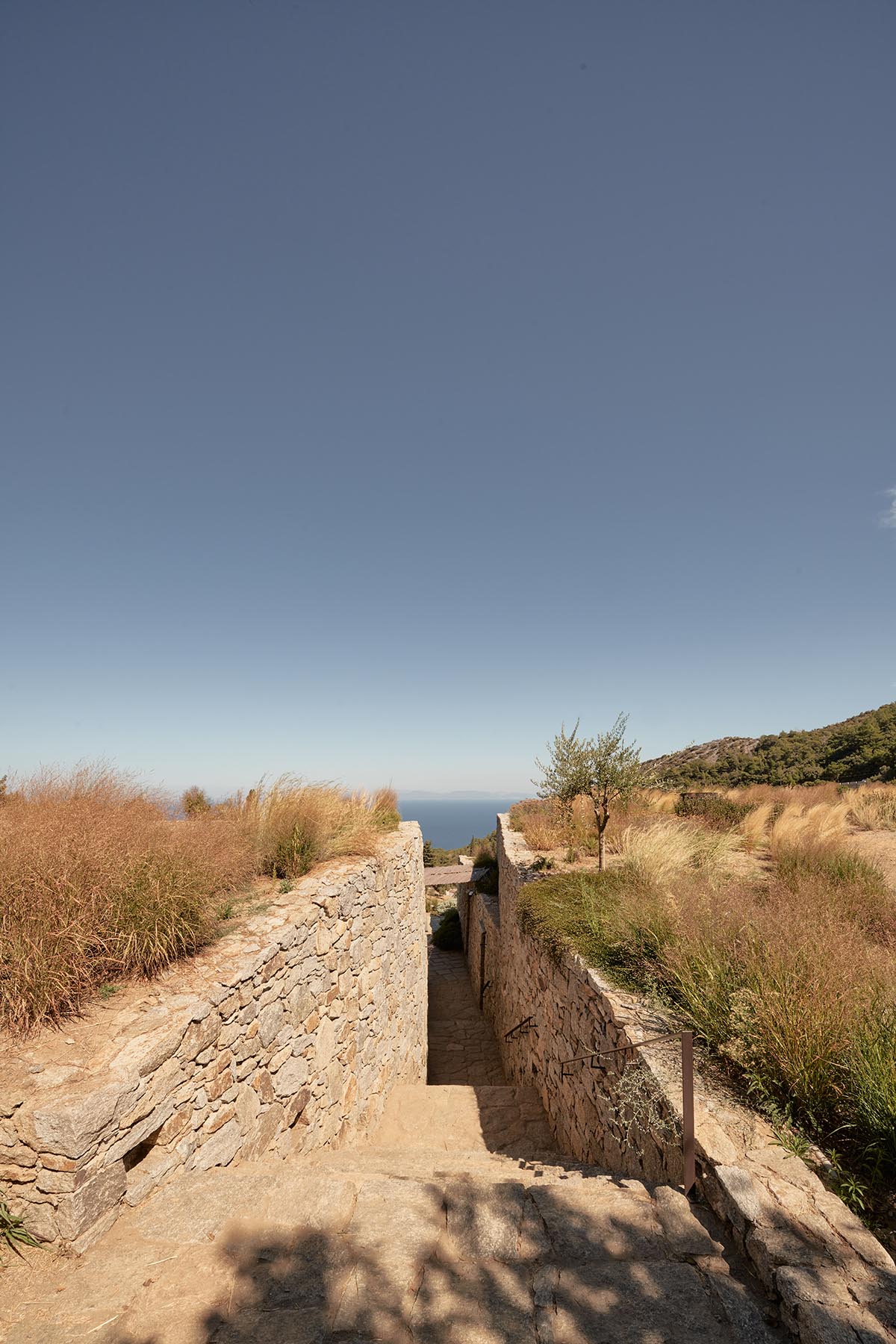 Terraced stonewalls sprawl down to offer an exploratory route in an old vineyard in Samos