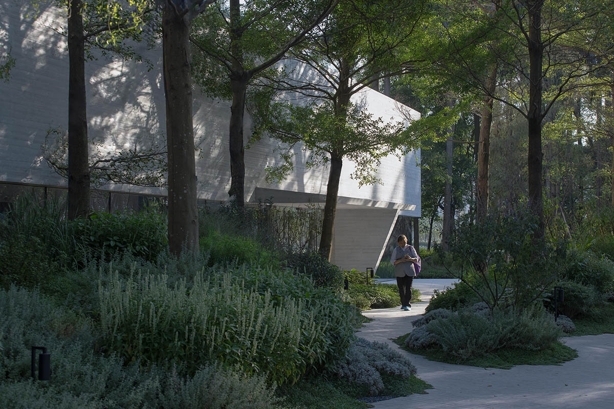Yunlu Wetland Museum becomes a harmonious sanctuary for egrets and nature in China 