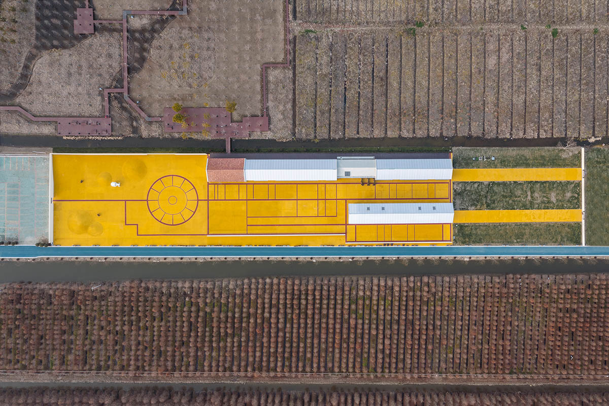 Wutopia Lab converts abandoned barnyard into a golden yellow field resembling a frozen harvest time