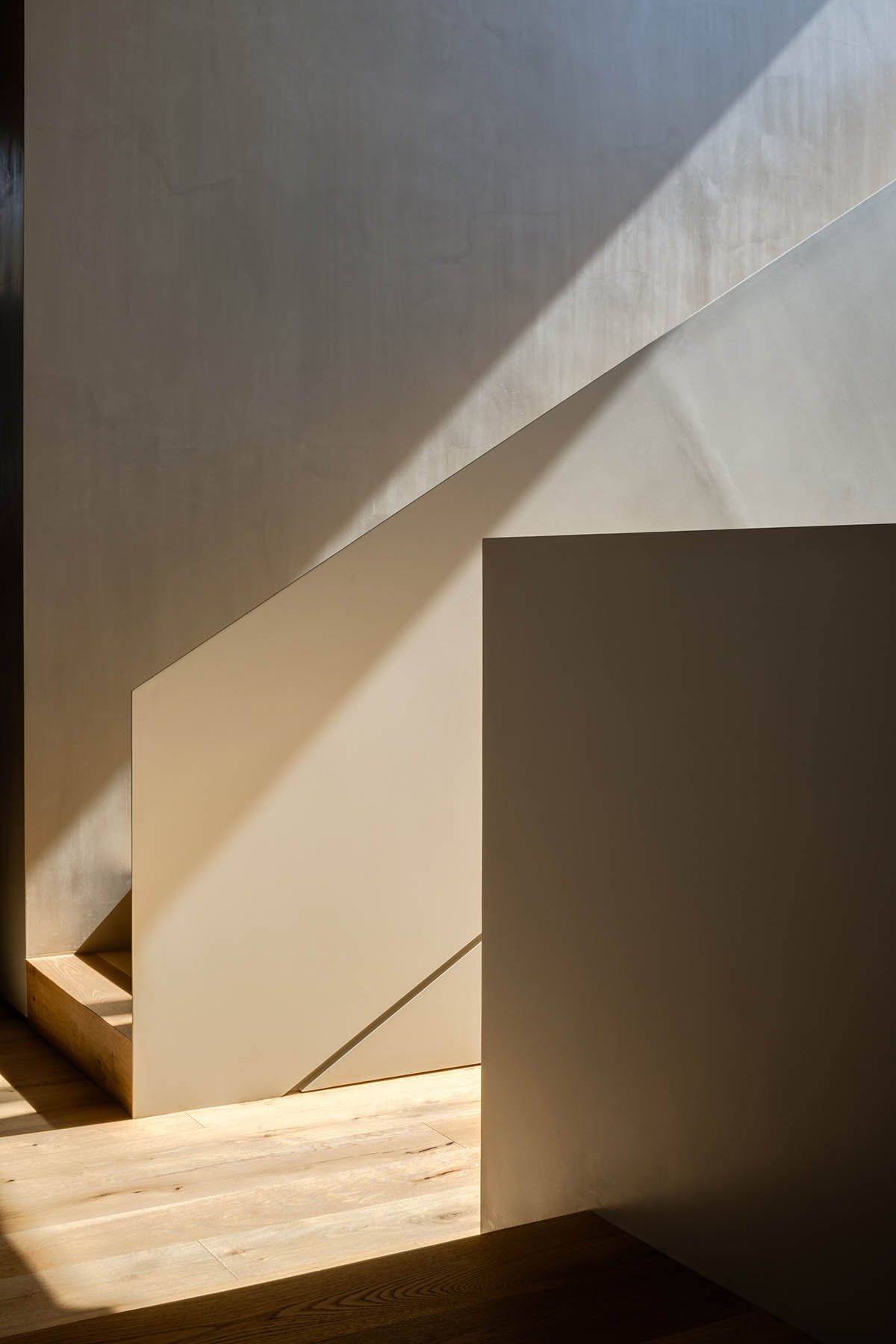 PPAA Arquitectos built compact concrete house with large private terrace in Mexico City