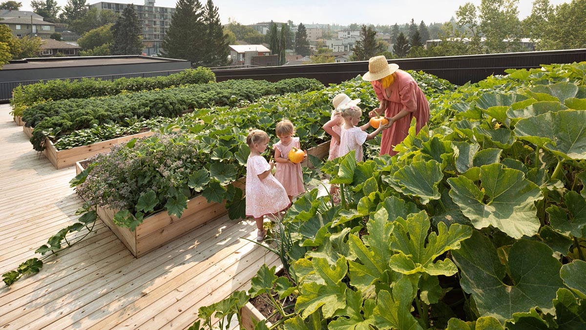Multi-residential housing by MODA features a barrier-free rooftop urban farm in Calgary
