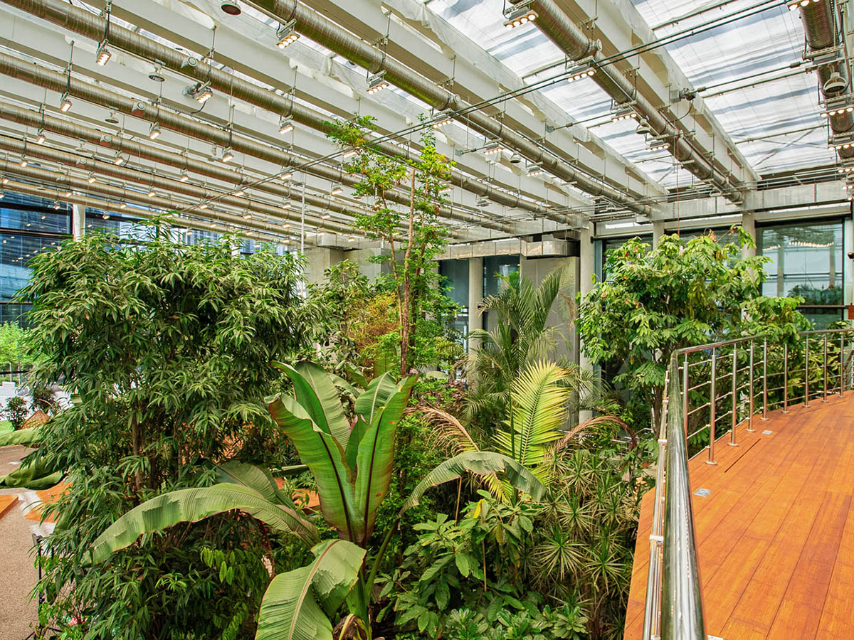 Worksplace nestled in an exotic garden is filled with various plants from many countries in Poland 