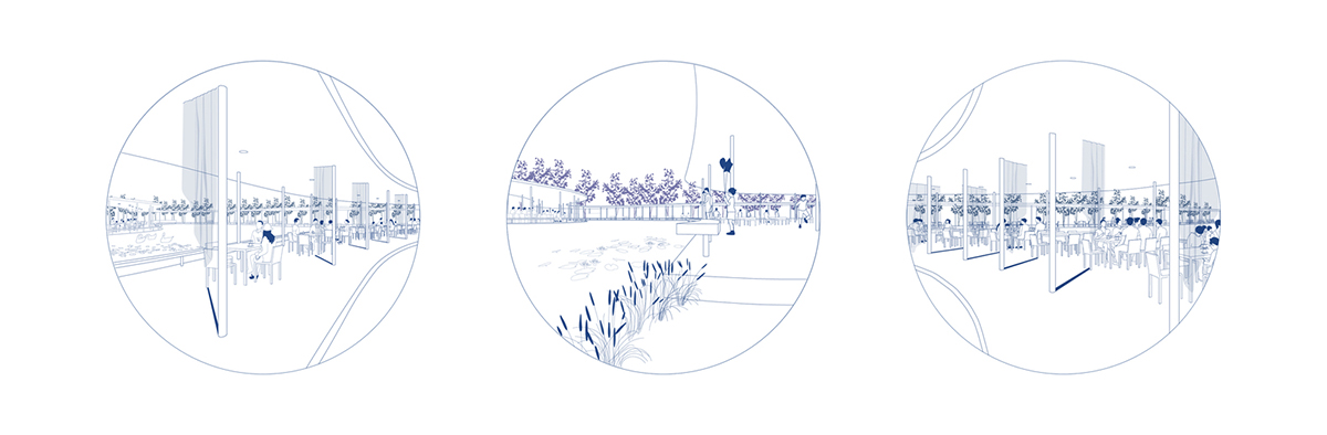 MUDA-Architects' snake-like restaurant blends with slender pillars and trees in a eucalyptus forest