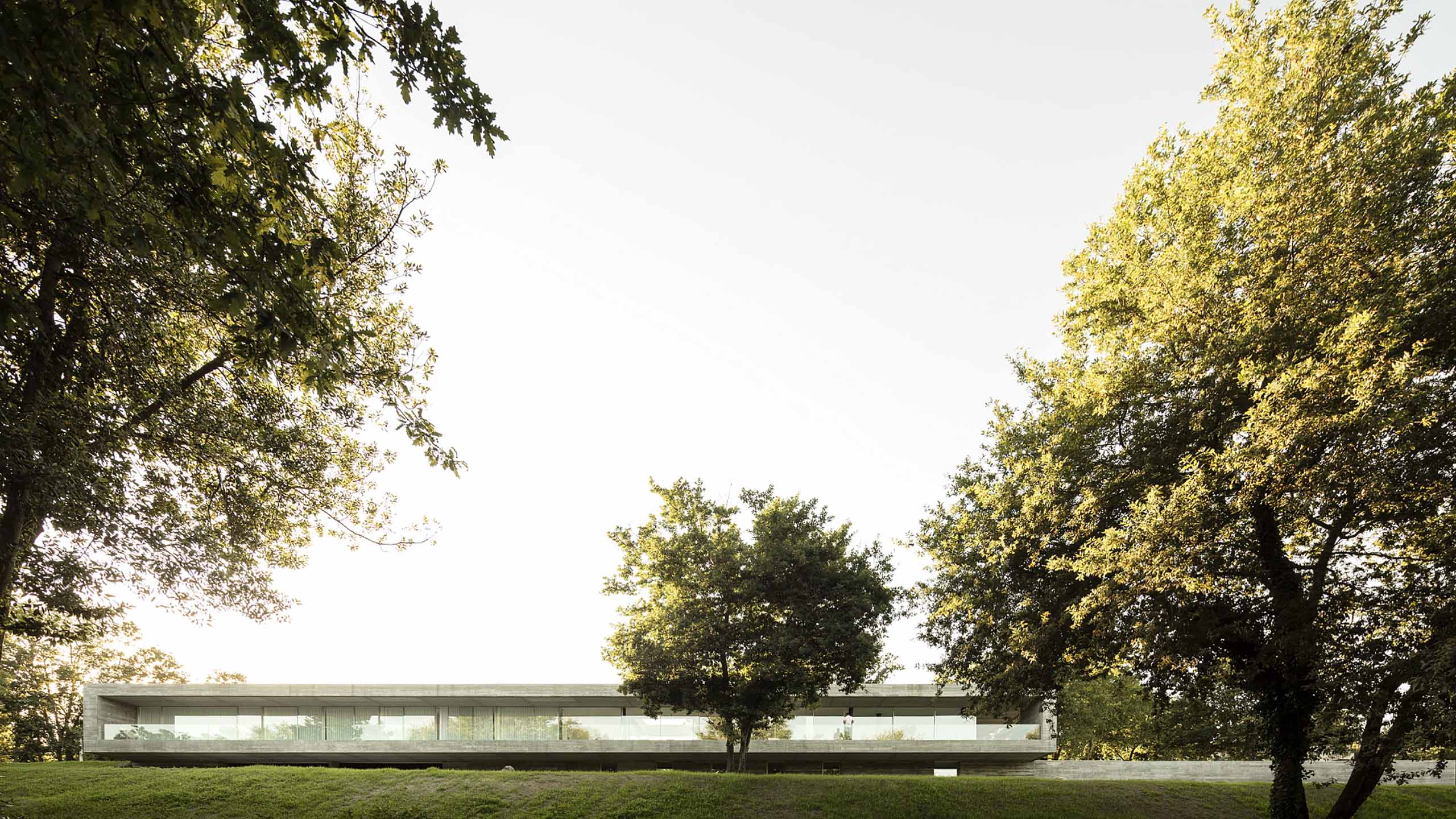 An elongated Sambade house by Spaceworkers presents itself as sober urban landmark in Portugal