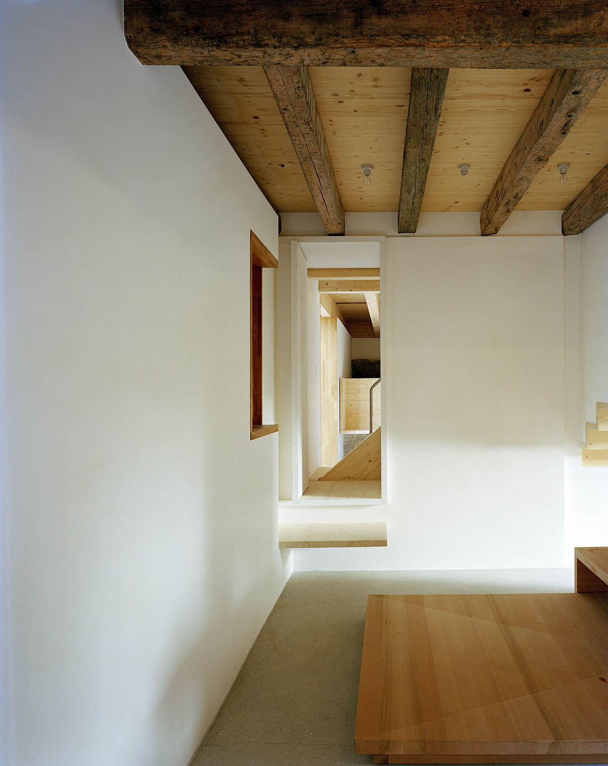 Dieter Dietz completes birdhouse-looking living space nestled in the Swiss rural landscape