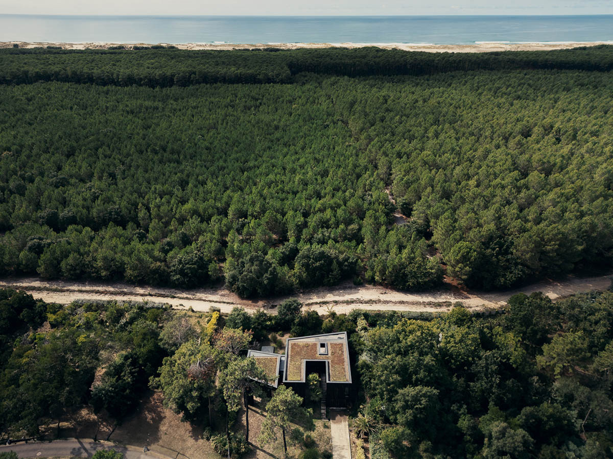 Maud Caubet Architectes built an elevated house creating a contrast in the forest in Landes