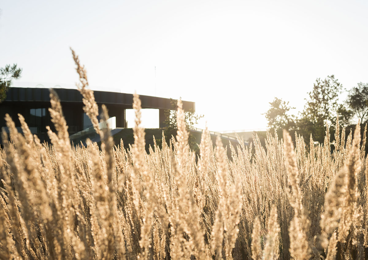 J. Mayer. H built this flower-shaped residence as a camouflage from the environment in near Moscow
