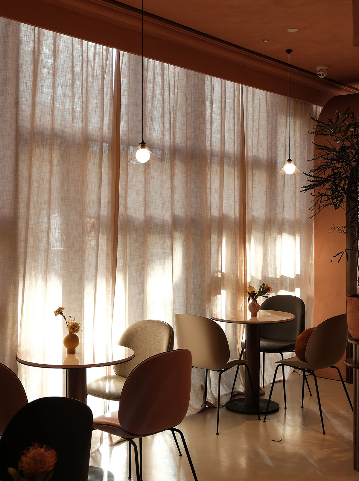 S&ograve; Studio combines metallic and pinkish-colored interior for Beijing store