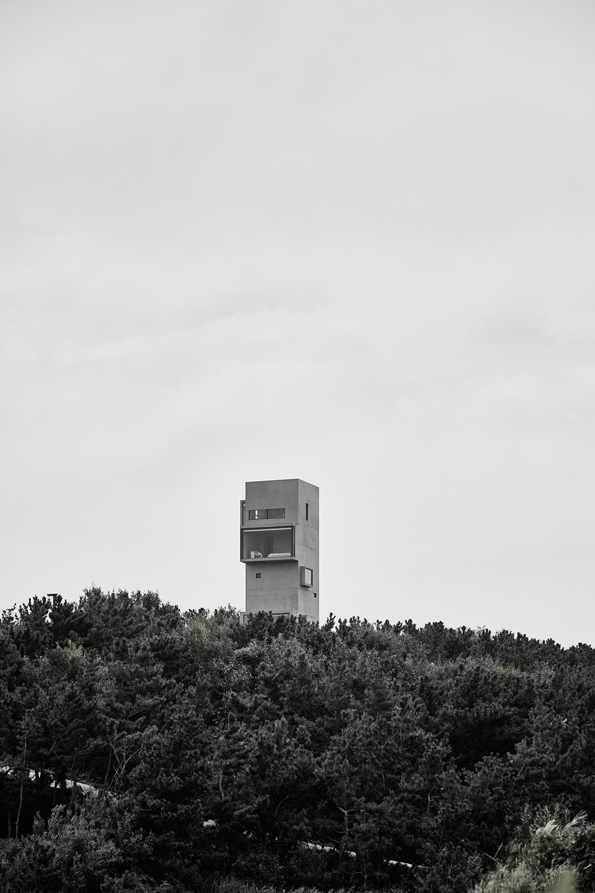 TAO built concrete cafe on a cliff as an extension of the land in China