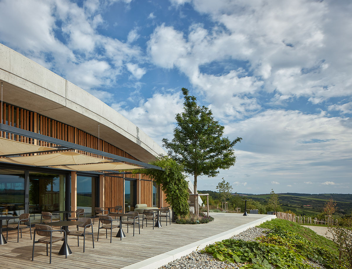 Curved green roof hides winery by Aleš Fiala in a rolling landscape in the Czech Republic