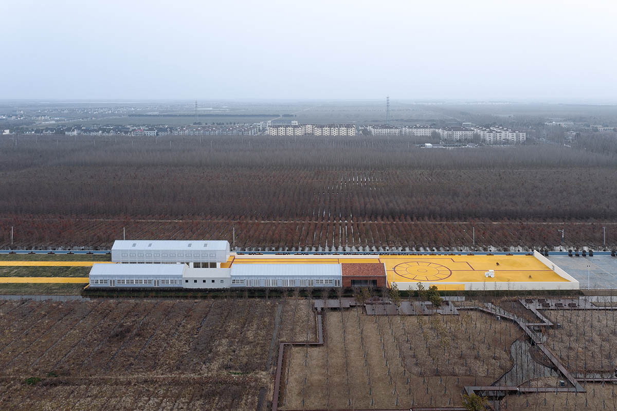Wutopia Lab converts abandoned barnyard into a golden yellow field resembling a frozen harvest time