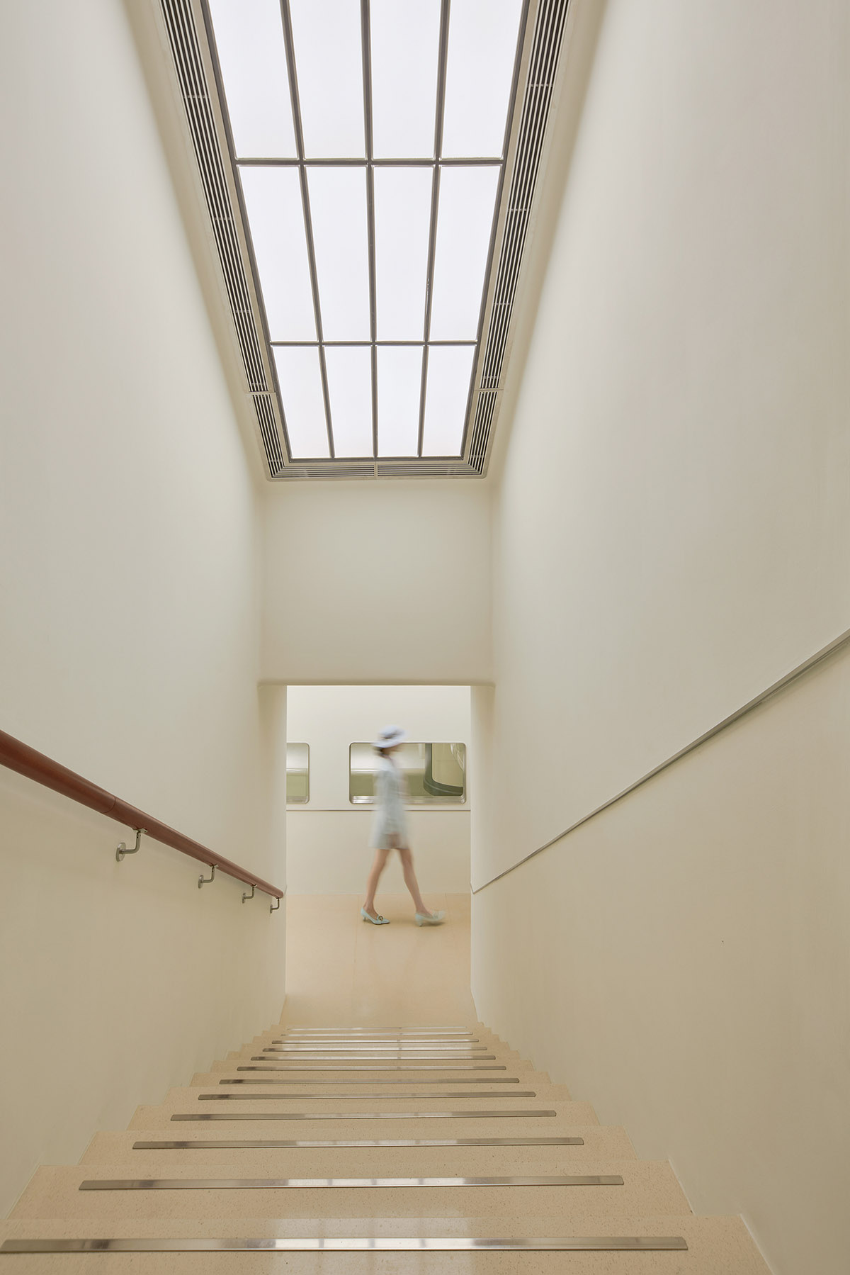 One Fine Day Studio & Partners designs pet store addressing to space age 