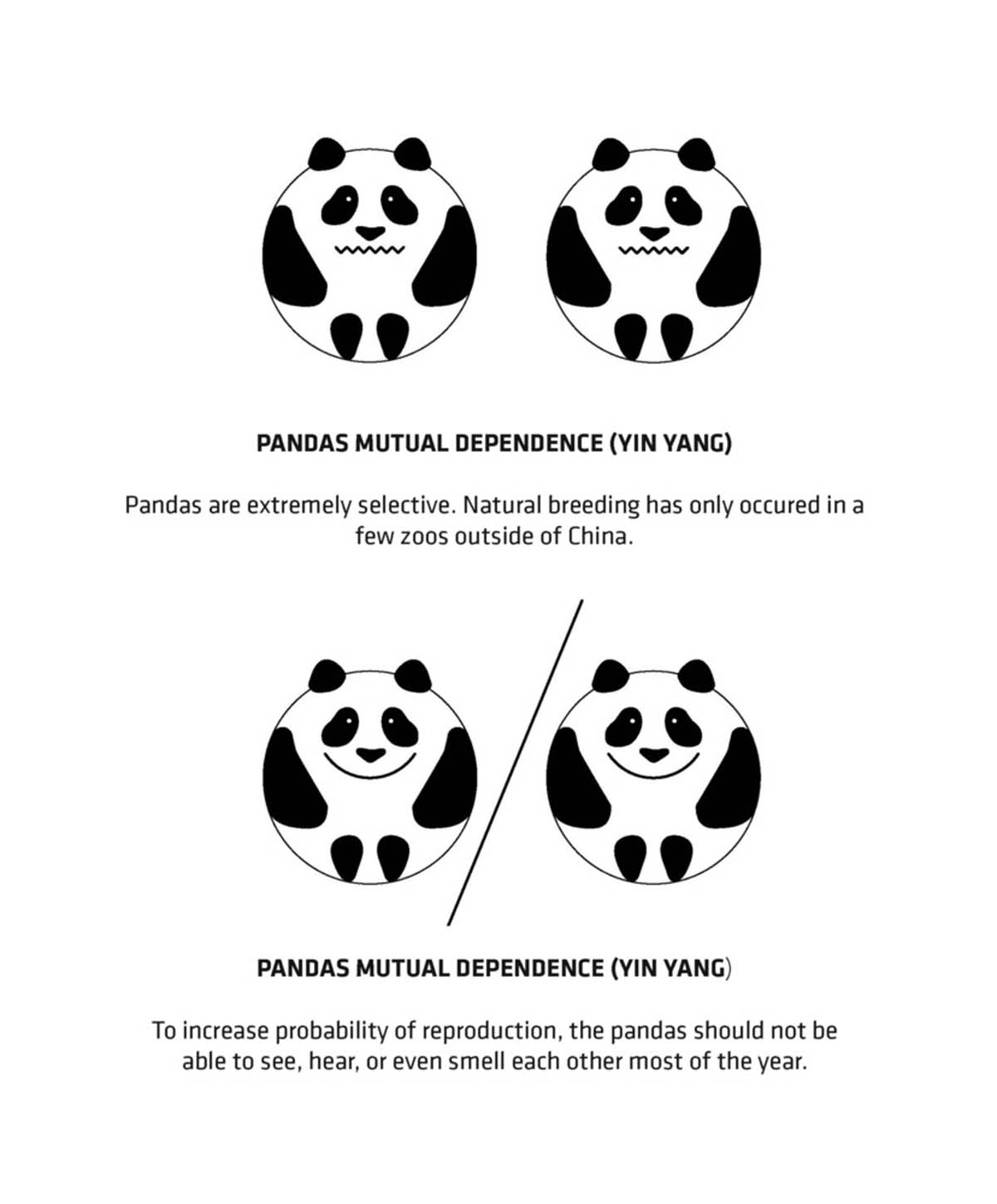 BIG creates Mao Sun and Xing Er's natural habitat in their circular home of Panda House