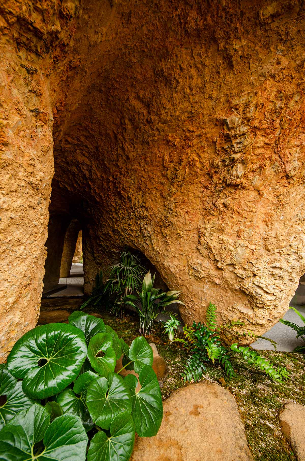 Junya.Ishigami+Associates reveals cave-like house and restaurant in earth form in Japan 