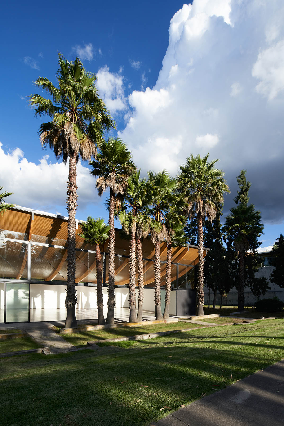 TEC Taller EC creates pavilion with concave wooden roof that becomes a façade in Ecuador