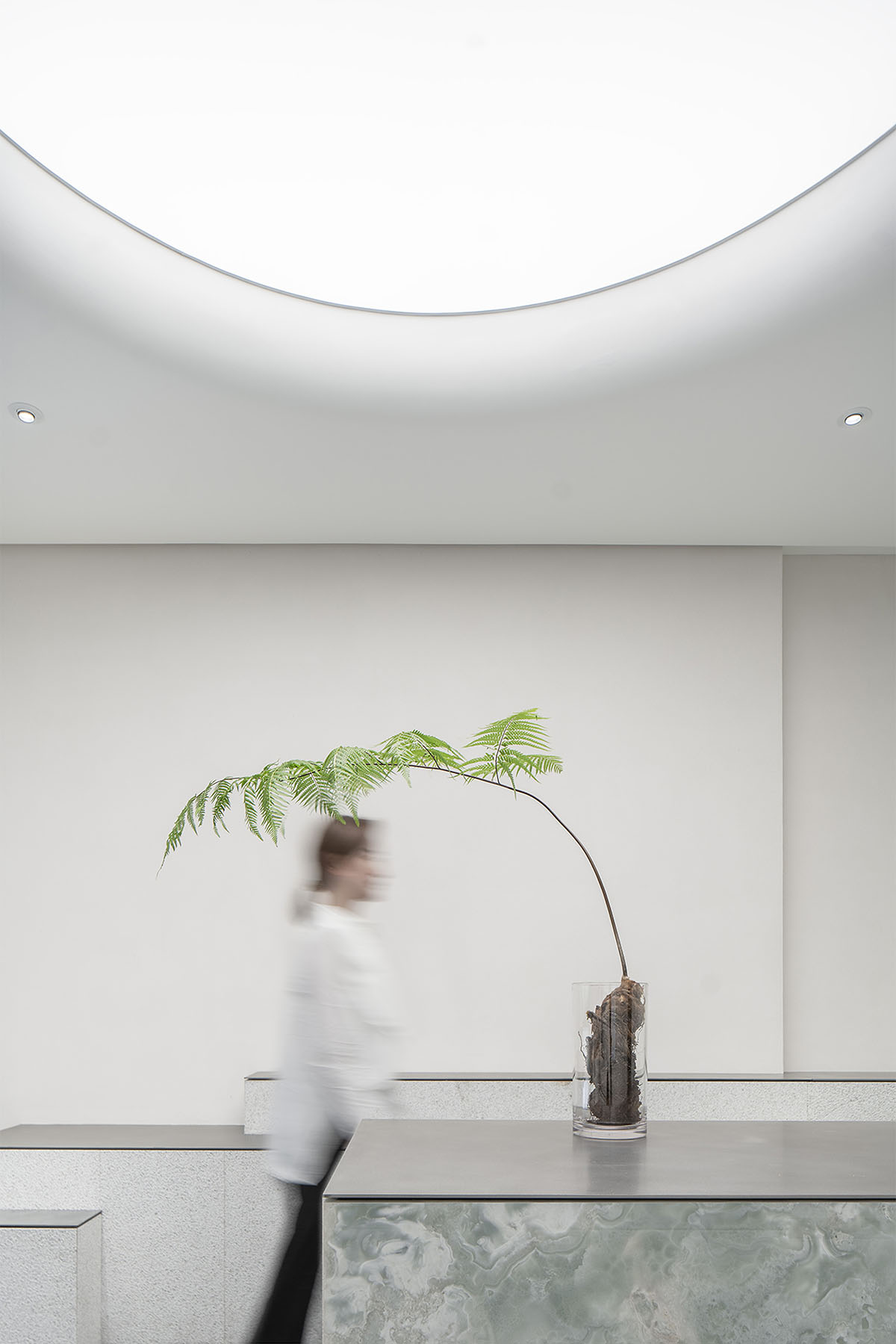 More Design Office's Absolute Flower Shop features cellular spaces with flower arrangements