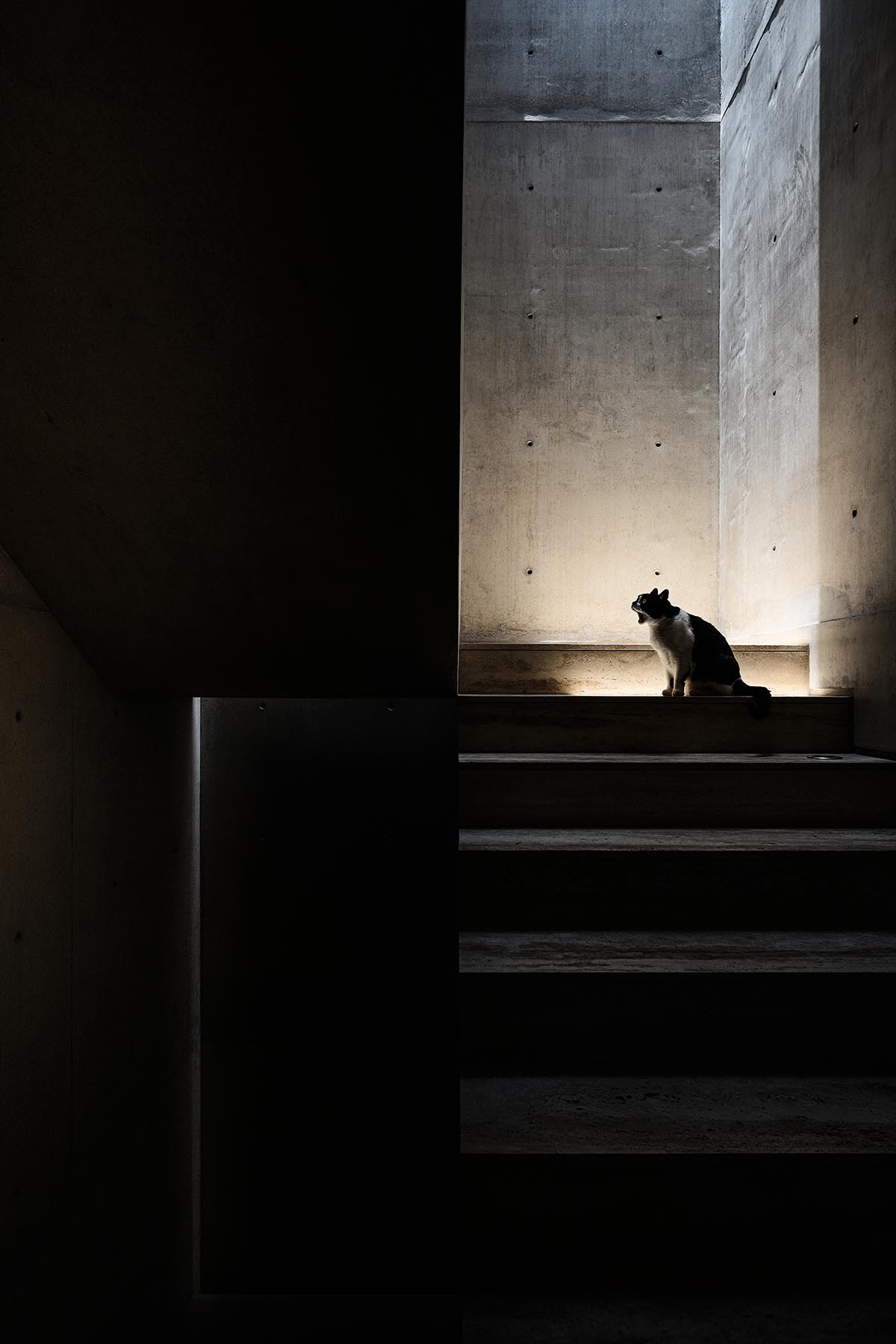 Casa Tao represents a home of silent memories in Jalisco, Mexico