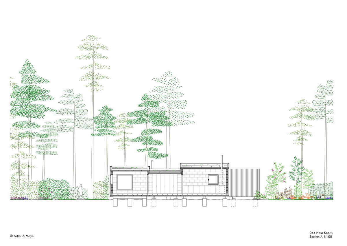 Zeller & Moye built private residence composed of interlocked timber cabins among pine trees