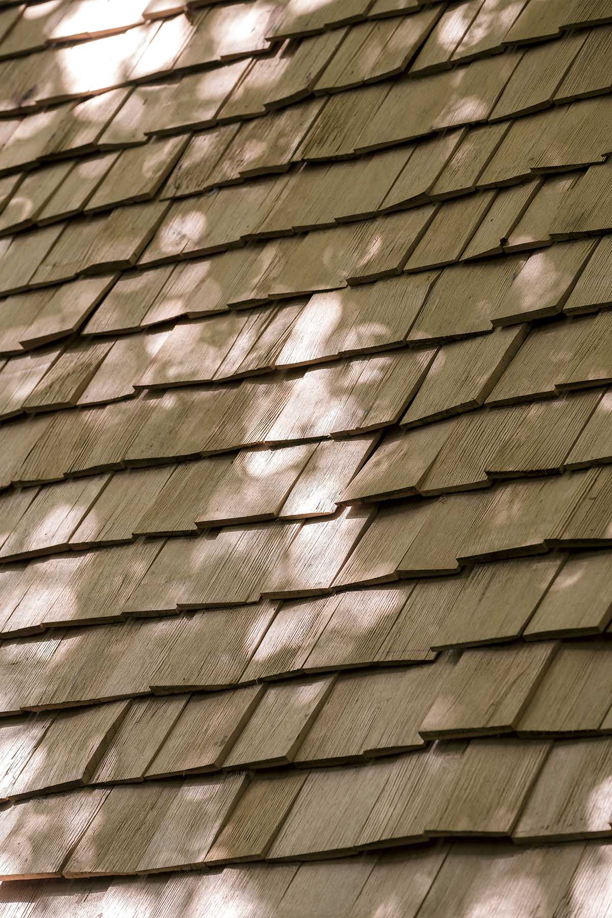 Hasselt University students built Building Beyond Pastorie Pavilion from reclaimed materials