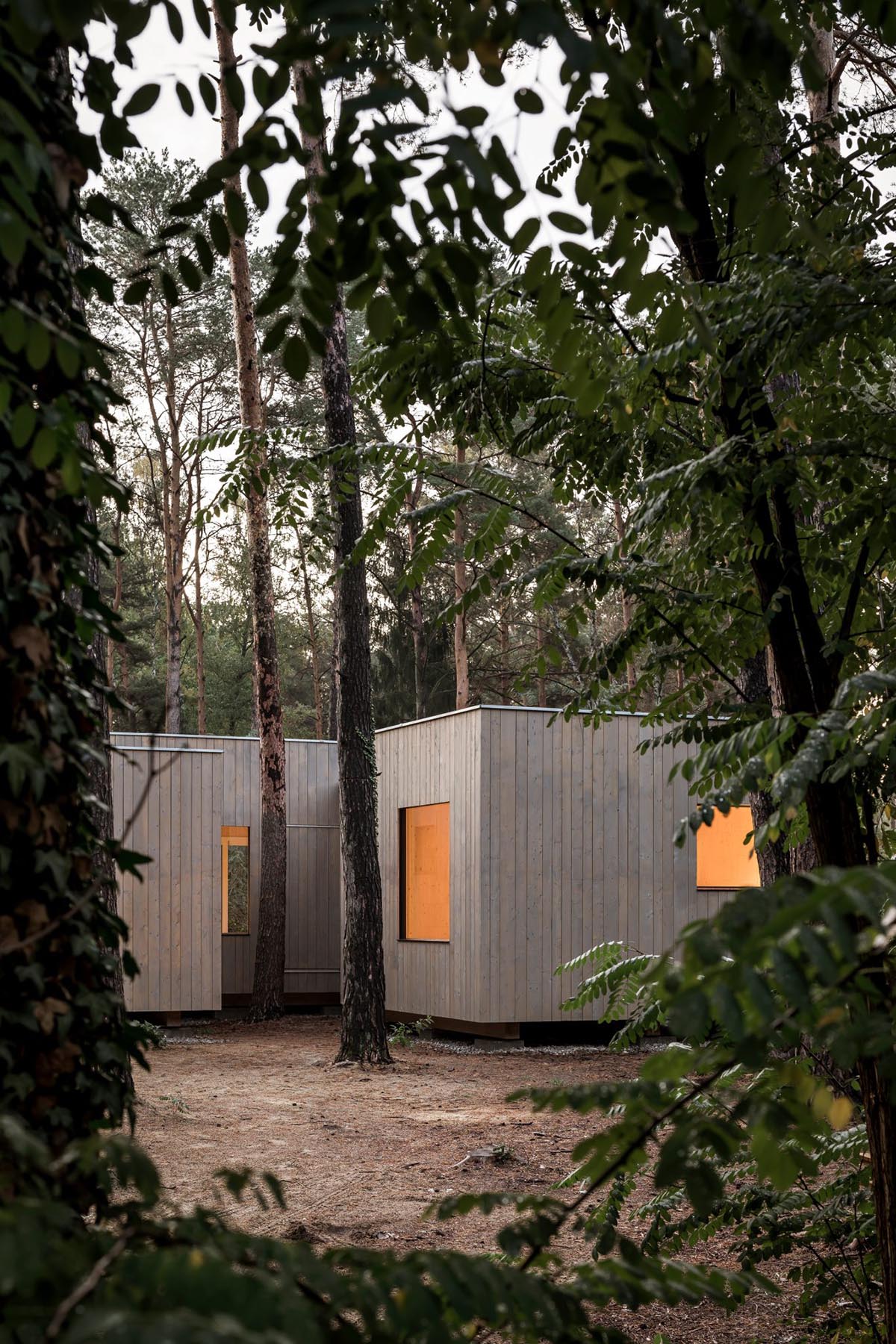 Zeller & Moye built private residence composed of interlocked timber cabins among pine trees