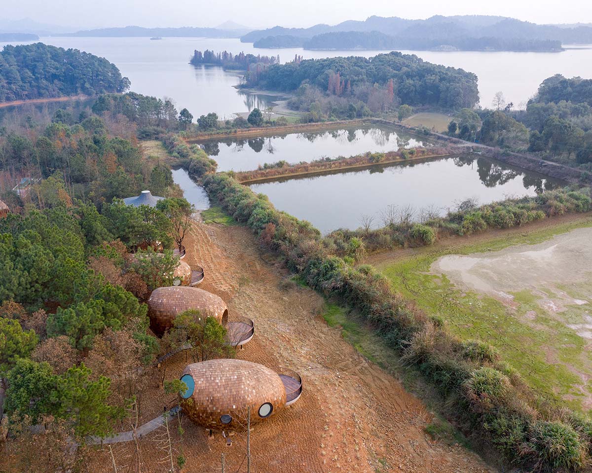 ZJJZ built The Seeds made of ellipsoidal surfaces and clad in pine shingles in Jiangxi, China