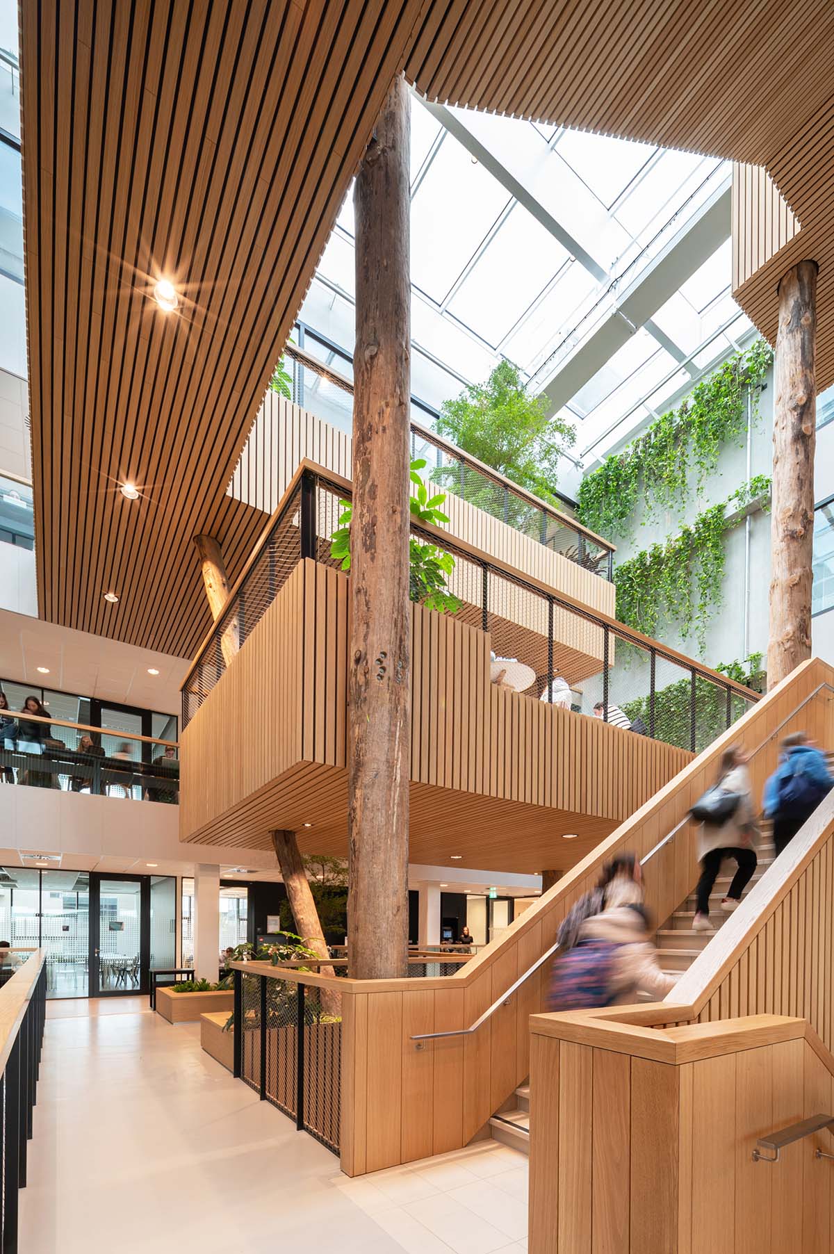 Untreated tree trunks pass through the central staircase of the Langeveld Building in Rotterdam