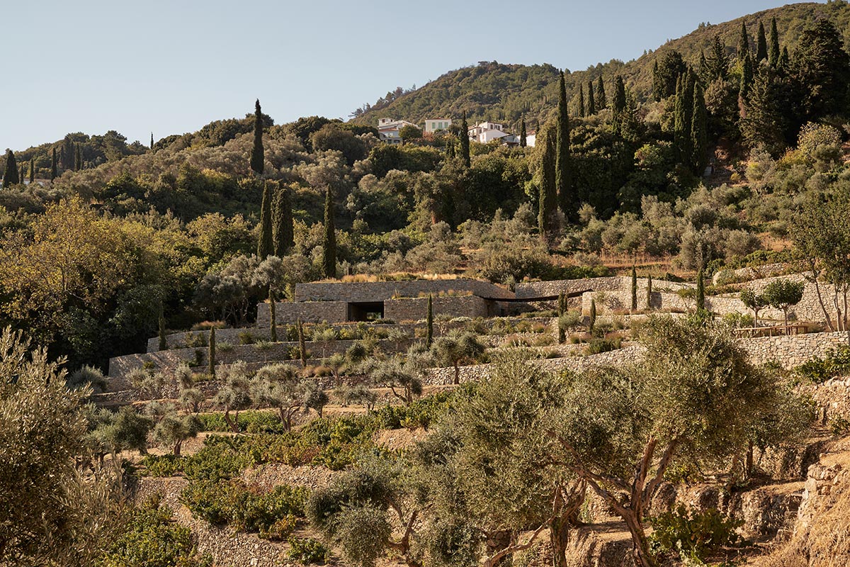 Terraced stonewalls sprawl down to offer an exploratory route in an old vineyard in Samos