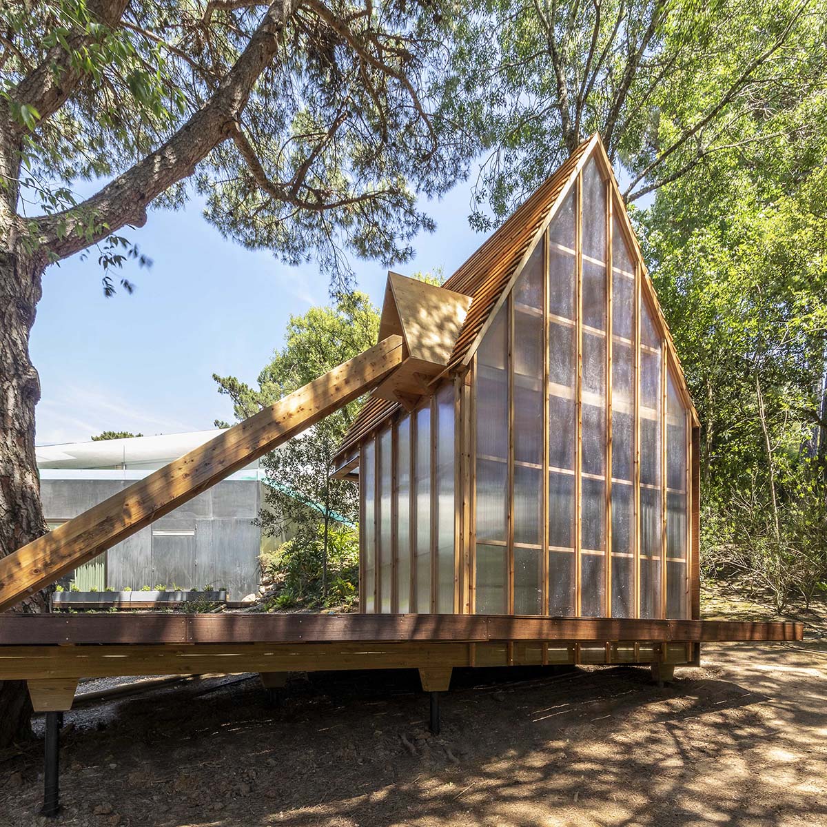 Columba Tree House / Madeiguincho