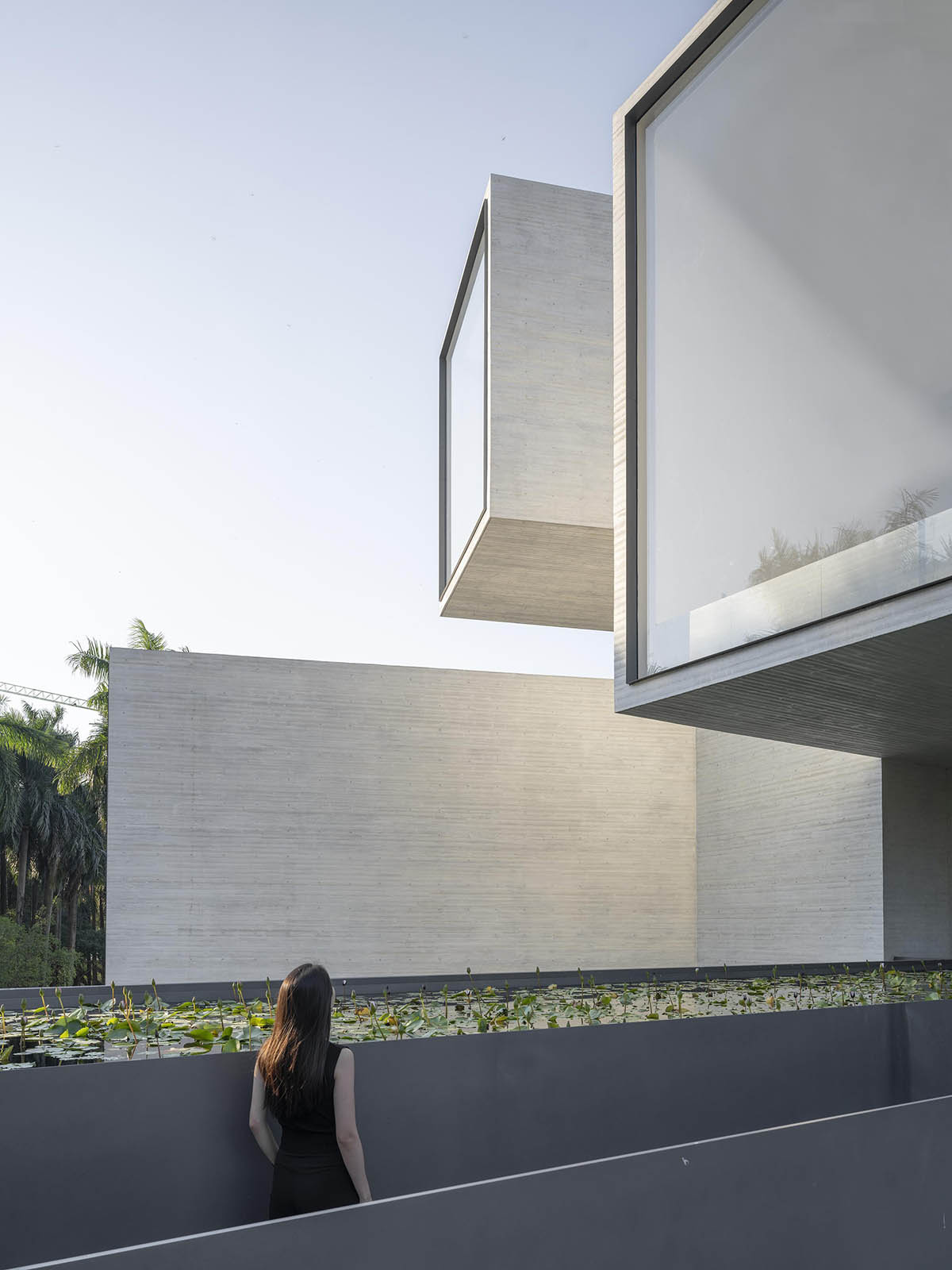 Yunlu Wetland Museum becomes a harmonious sanctuary for egrets and nature in China 