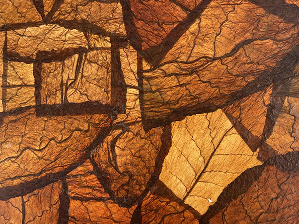 Dominican Republic Pavilion to present CONEXIÓN at Venice Architecture Biennale