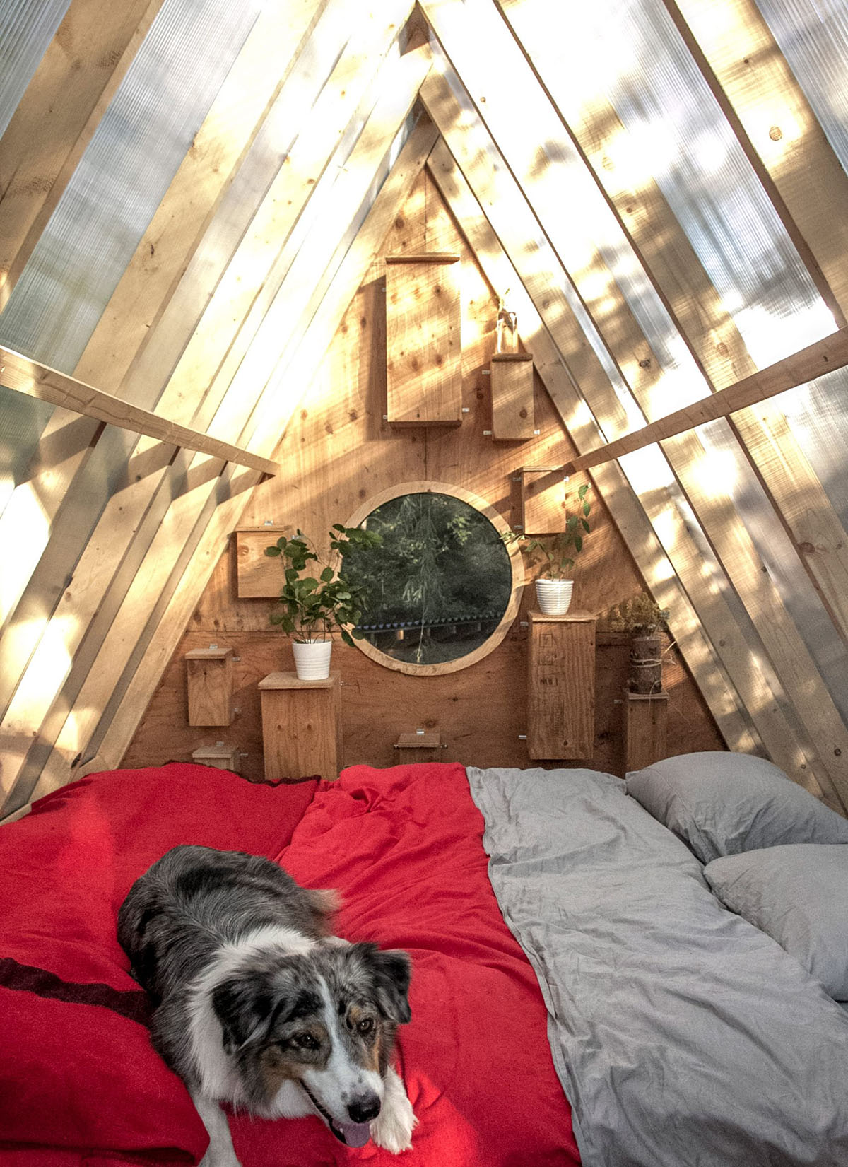 Studio North's Bird Hut not only serves for local birds but also for travellers in Canada