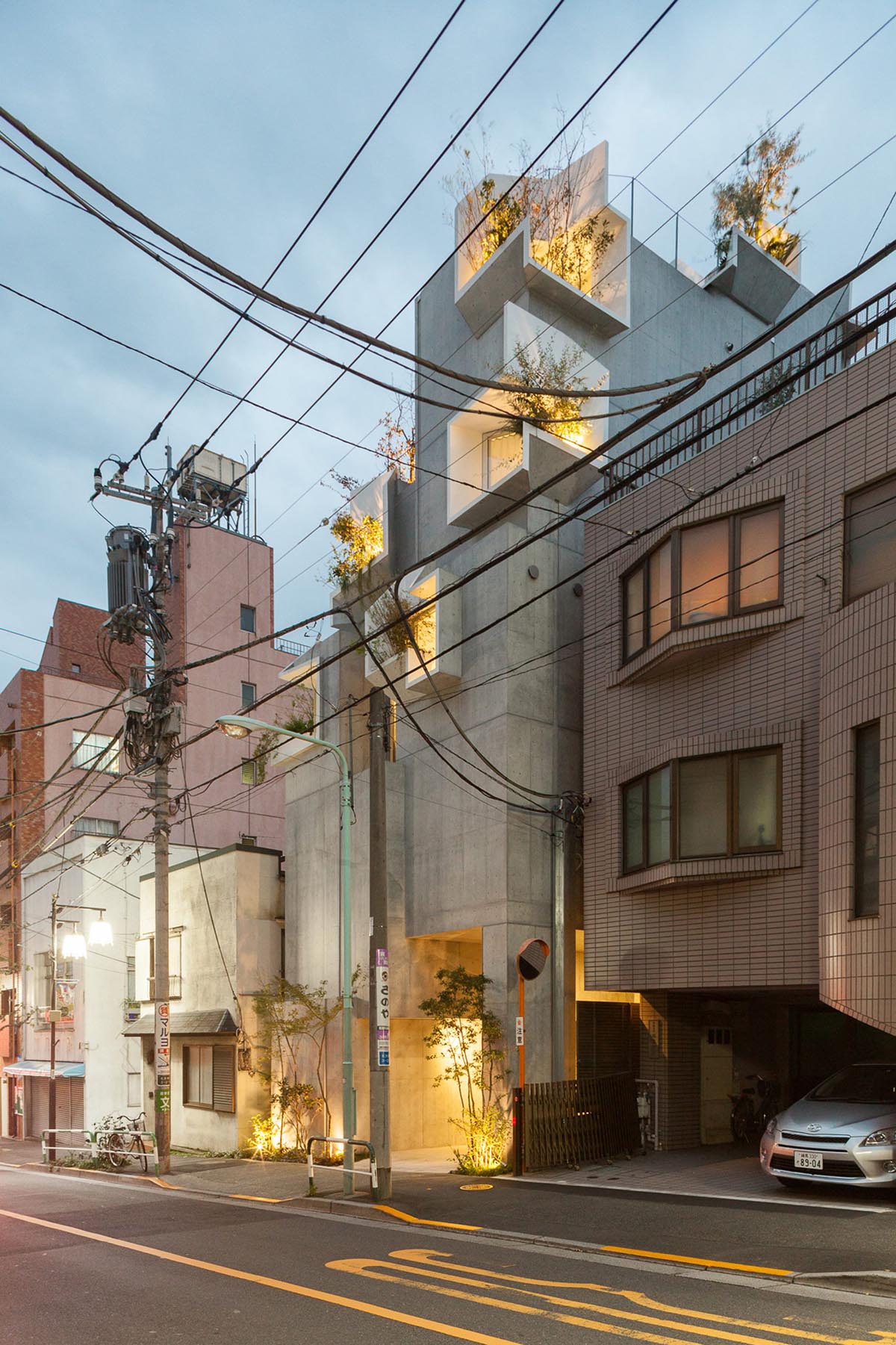 Akihisa Hirata built Tree-ness house that can create organic mass with indoor and outdoor spaces