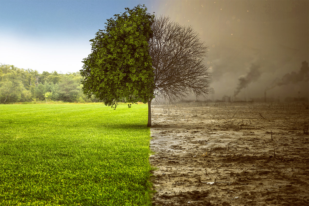 A new awareness for a better normal