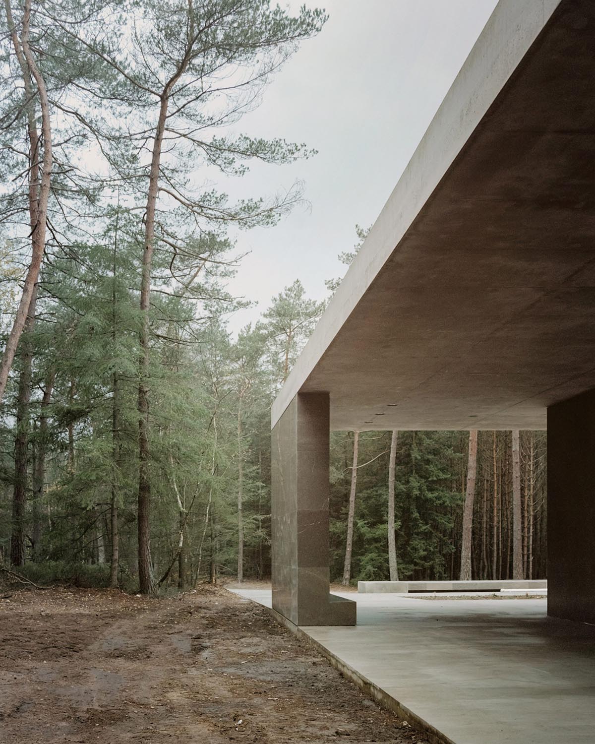 KAAN Architecten built serene Loenen Pavilion commemorating Dutch victims among pine trees