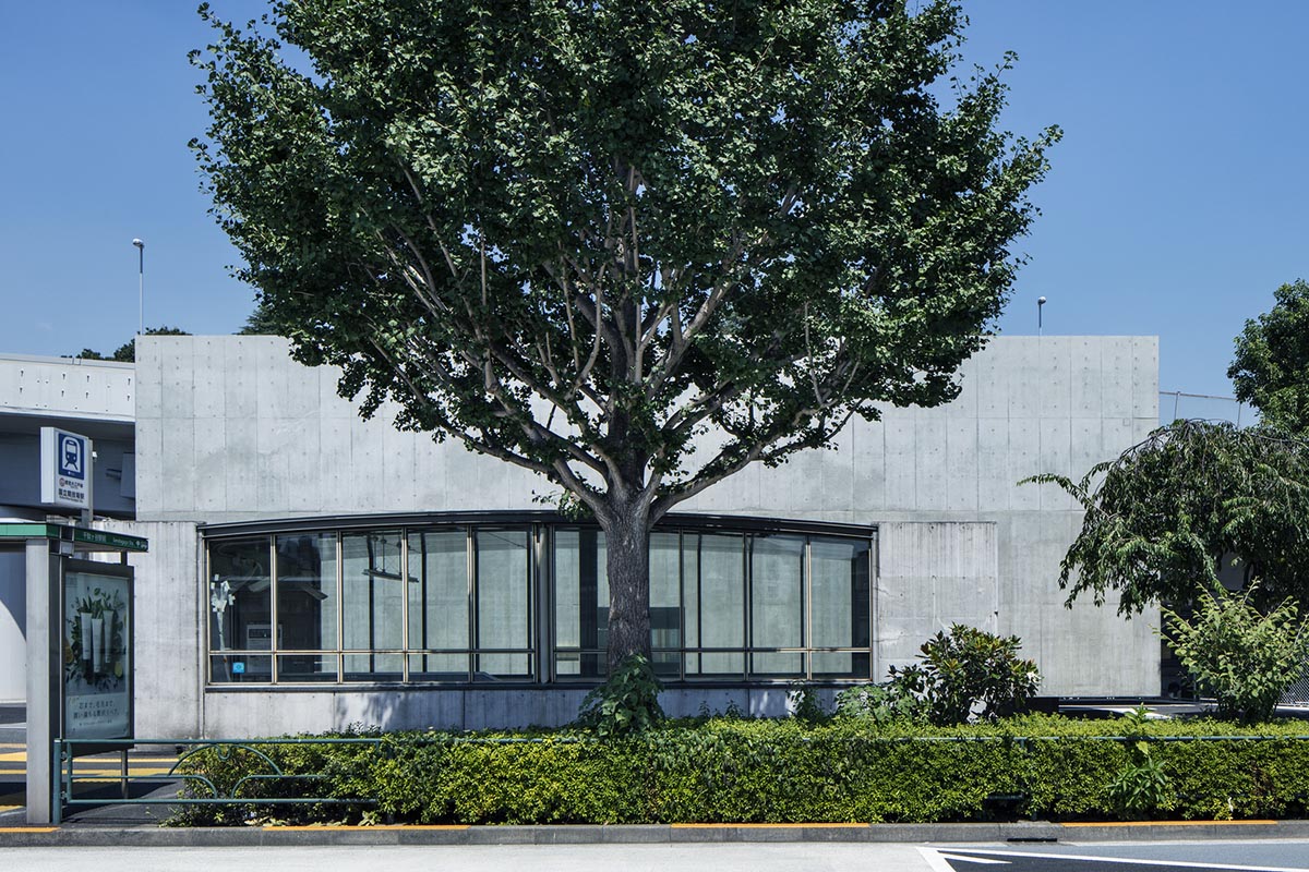 Suppose Design Office encloses public toilets with floating concrete walls in Japan