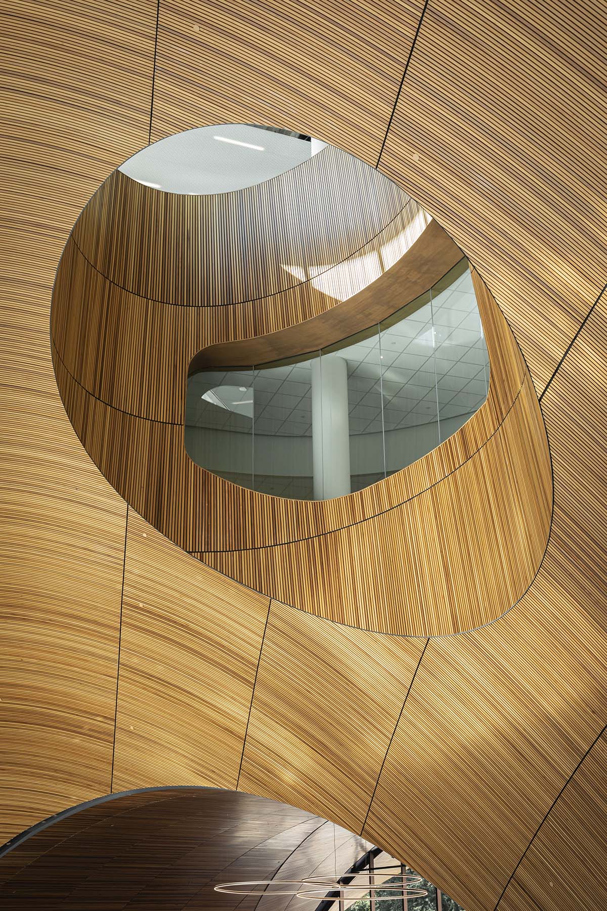 Snøhetta completes the Charles Library with grand wooden arched entrance in Philadelphia